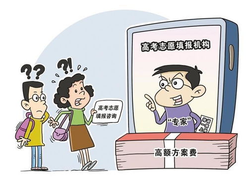 天價志愿填報服務 西安市場的迷霧與真相